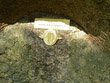 Odhalení Kamene běžců 2008